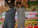 گزارش تصویری از اهداء جوایز  در همایش تجلیل از پرفسور علی اکبر جلالی چهره ماندگار شهرستان شاهرود 